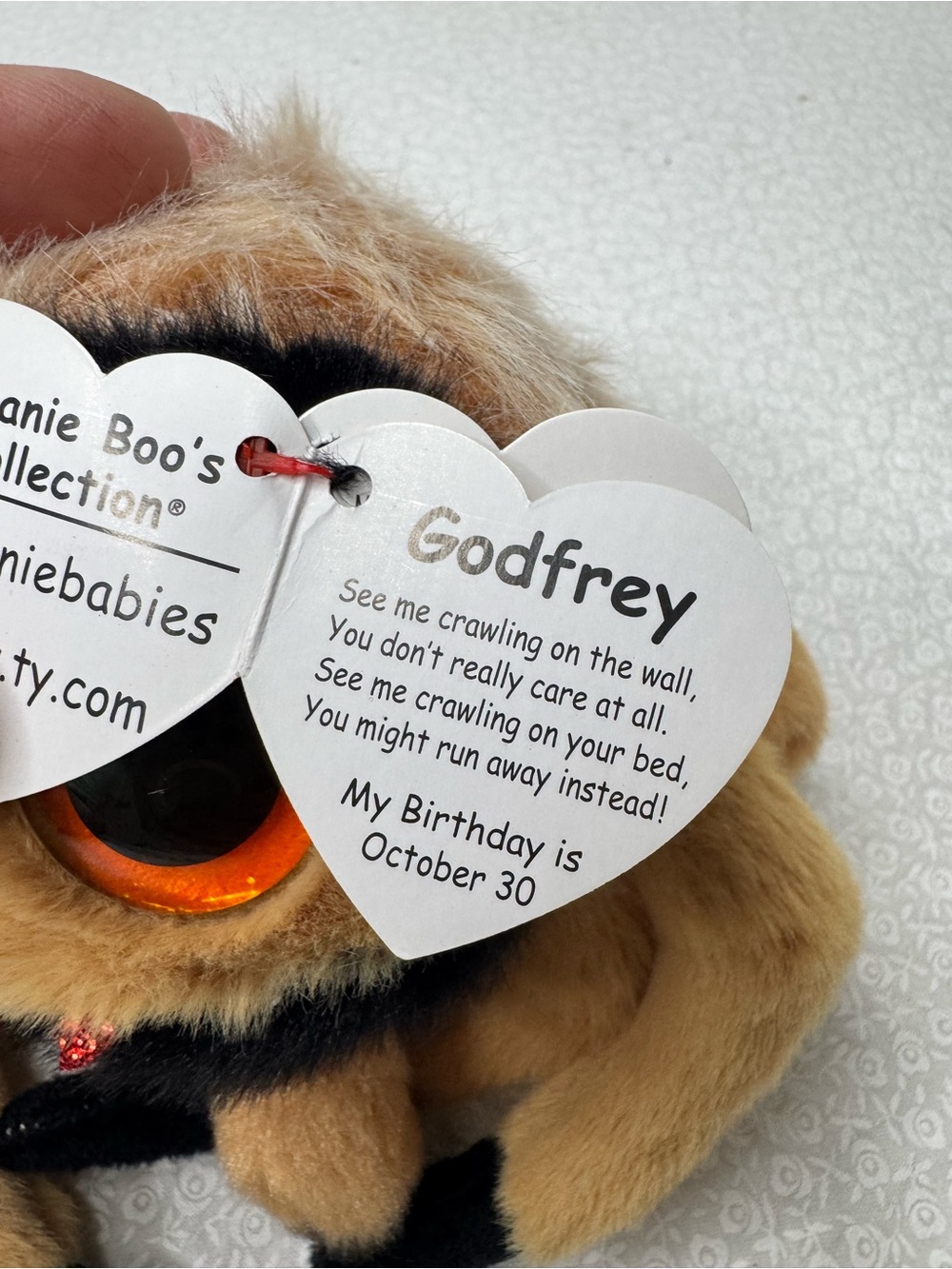 TY Beanie Boos Godfrey tSpider large glittery orange eyes and plush tan fur 2024 - Picture 4 of 8